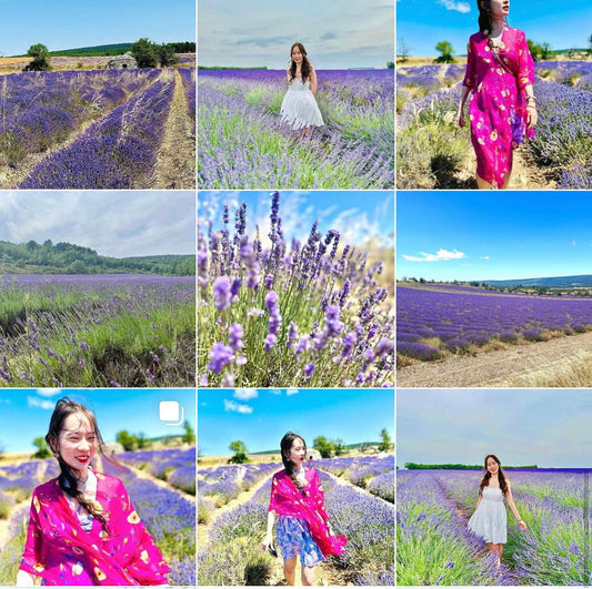 Dreamiest Lavender Fields in Europe