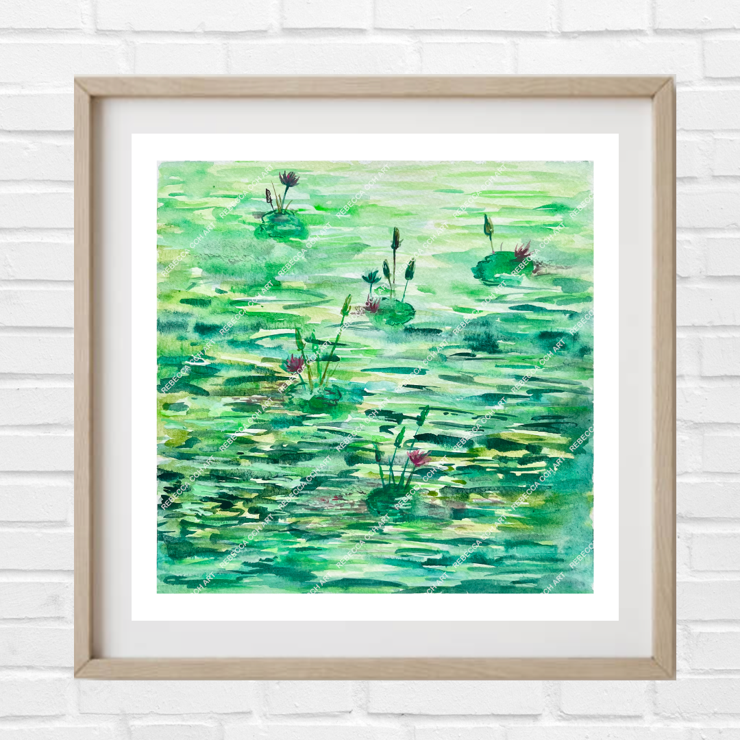 Water Lilies watercolour art print 'Water Lilies at the Botanic Gardens' by Rebecca Cch Art