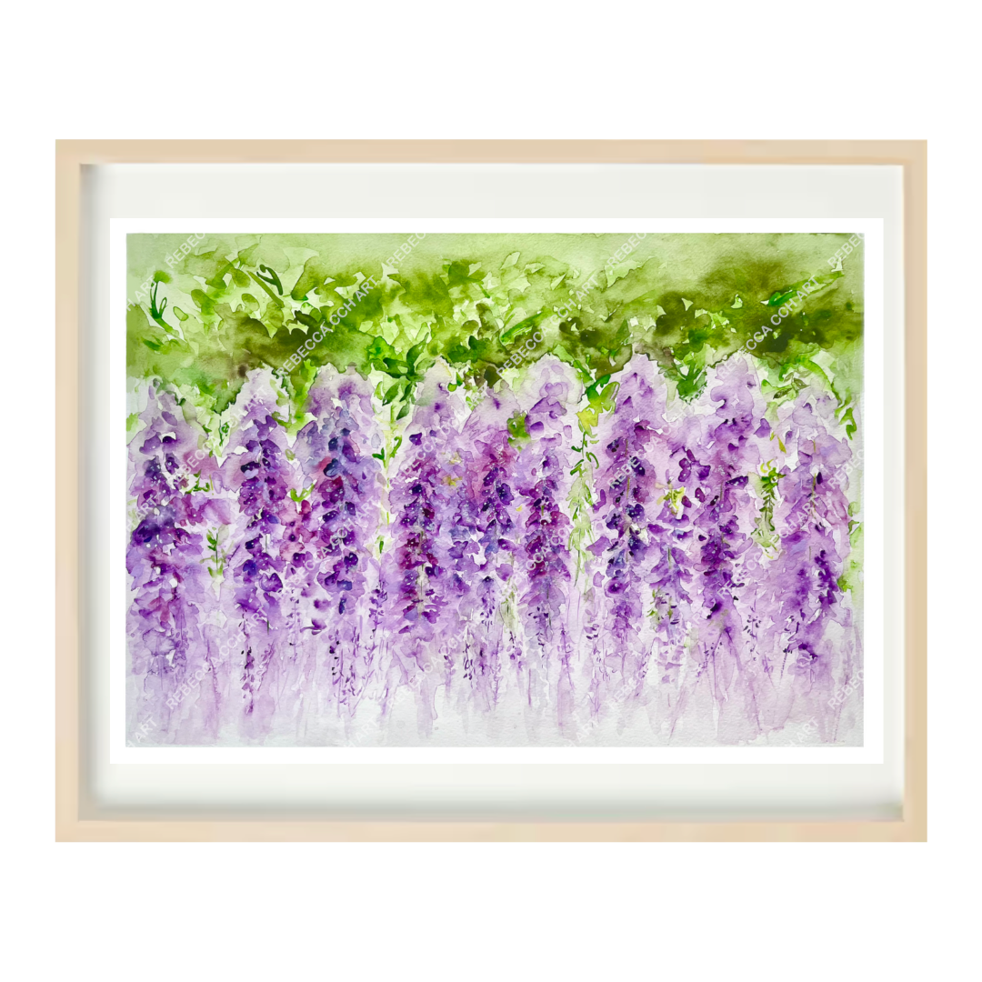 Floral Watercolour art print "Dreamy, Hanging Wisteria" by Rebecca Cch Art