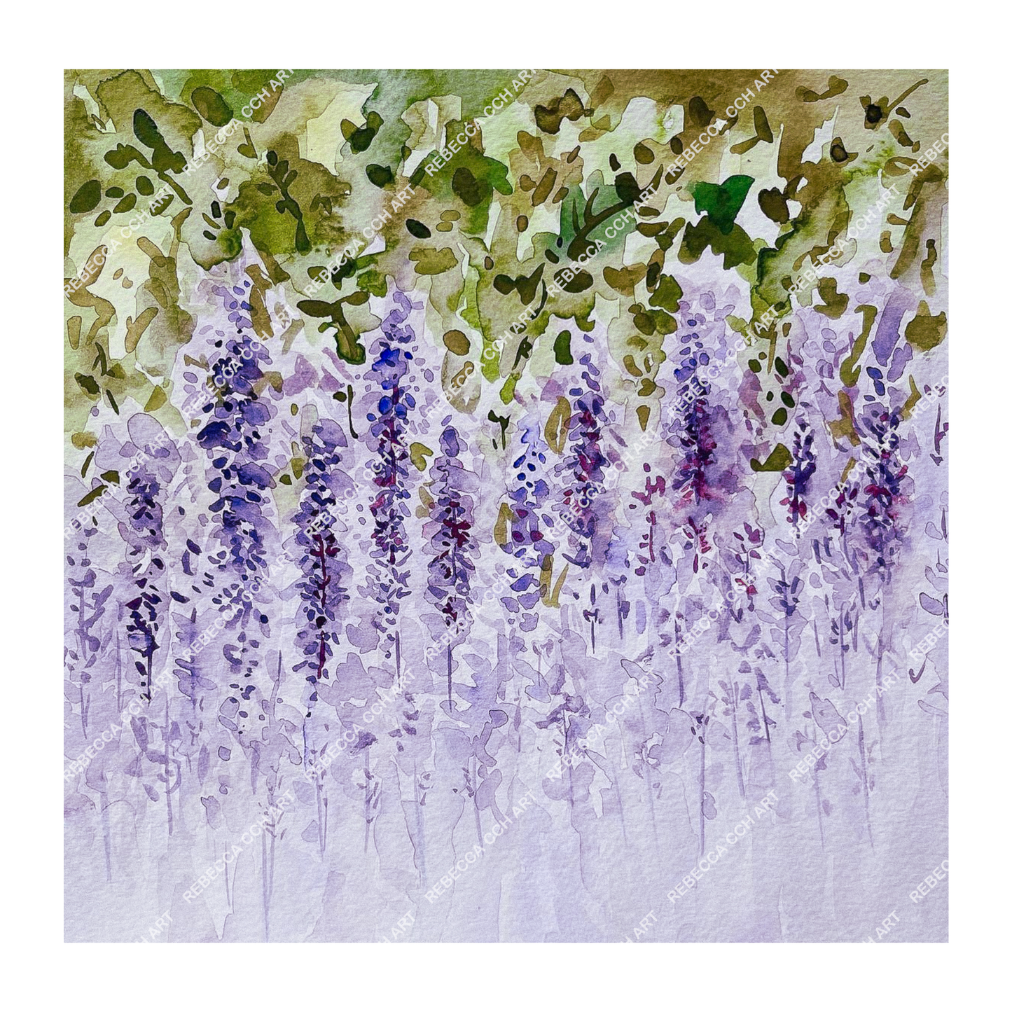 Wisteria Watercolour Floral Art Painting Print by Rebecca Cch Art