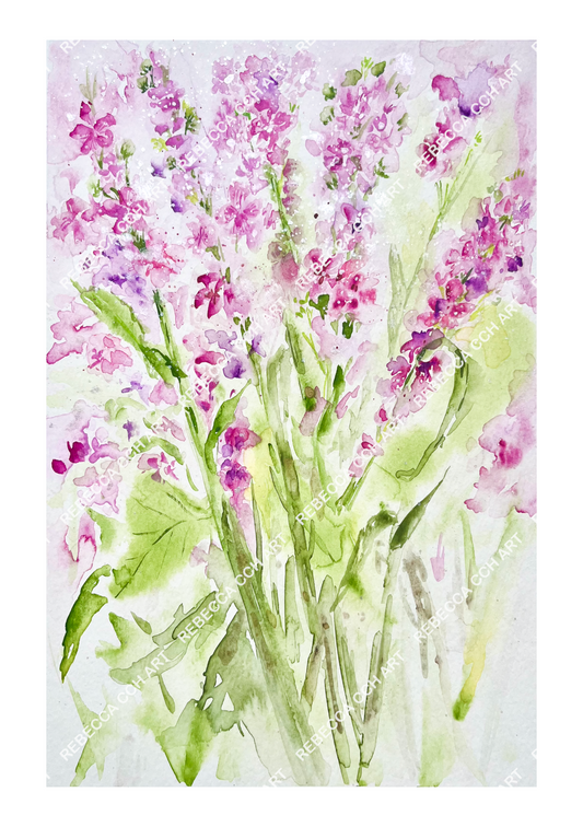 Wild flowers Watercolour floral art