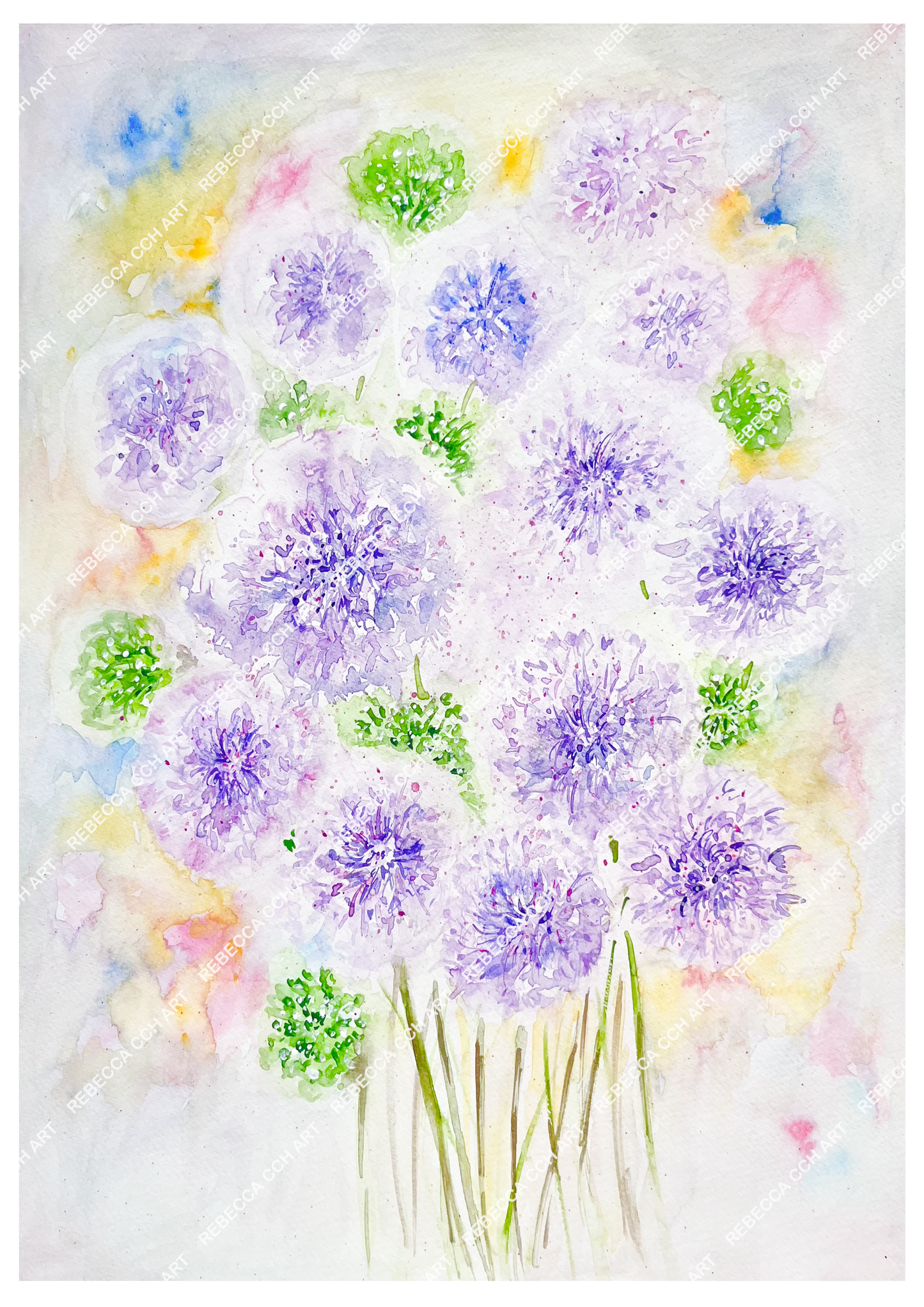 Garden Flowers Watercolour "Popping Alliums" by Rebecca Cch Art