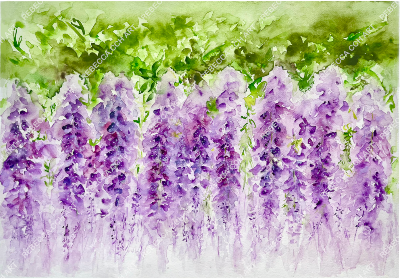 Floral Watercolour art print "Dreamy, Hanging Wisteria" by Rebecca Cch Art