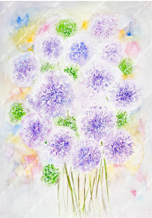 Garden Flowers Watercolour "Popping Alliums" by Rebecca Cch Art